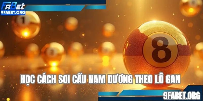 Học cách soi cầu Nam Dương theo lô gan